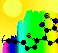 Polymer Chemistry Division